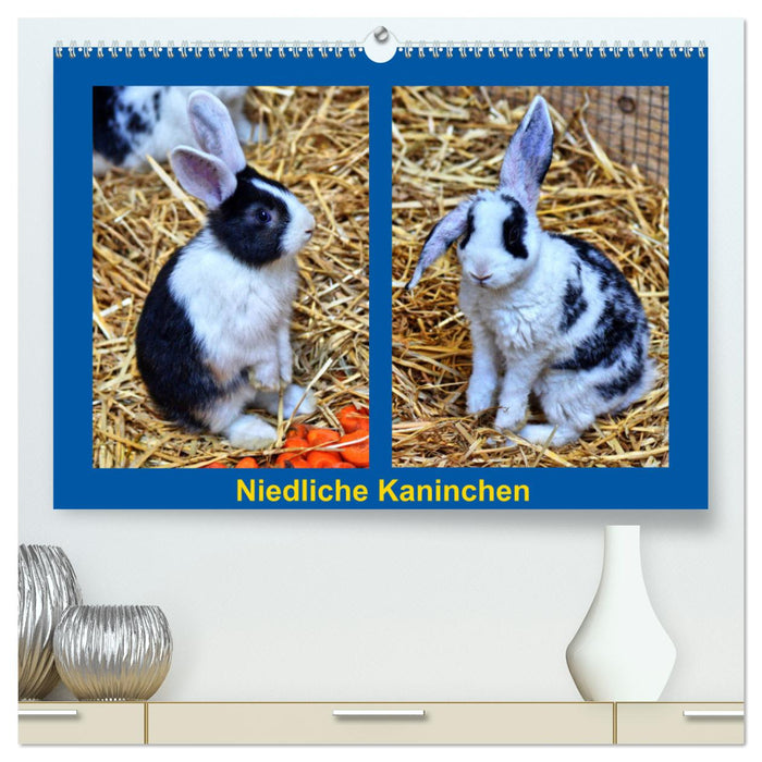 Niedliche Kaninchen (CALVENDO Premium Wandkalender 2024)