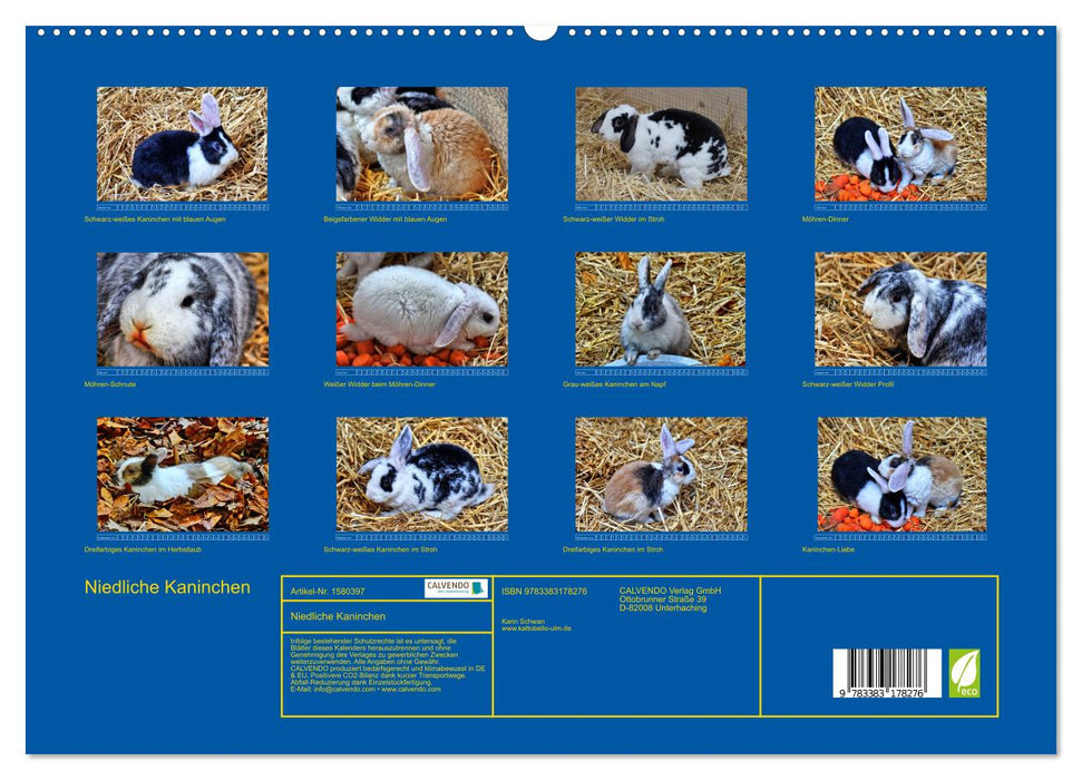 Niedliche Kaninchen (CALVENDO Premium Wandkalender 2024)