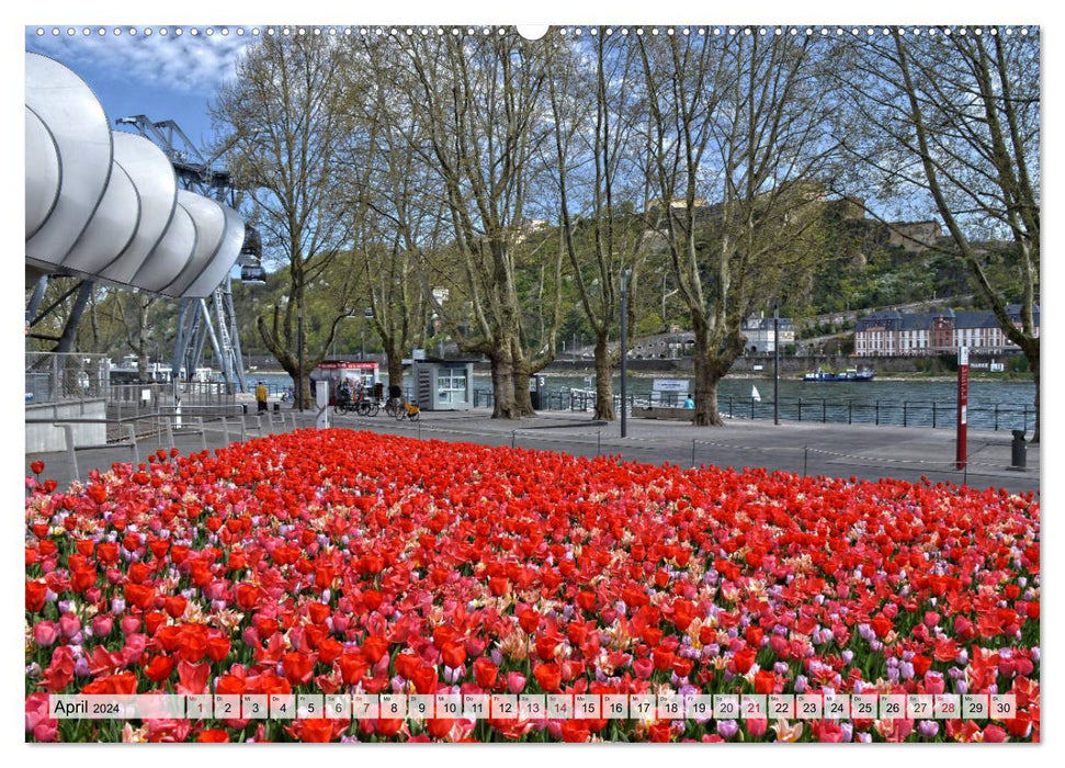 The Koblenz calendar (CALVENDO Premium wall calendar 2024) 