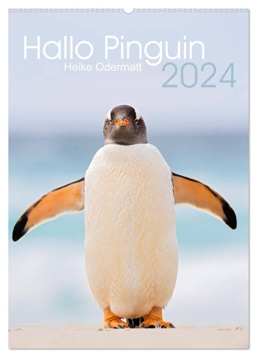 Hallo Pinguin (CALVENDO Wandkalender 2024)