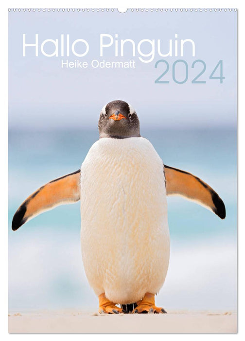 Bonjour pingouin (Calendrier mural CALVENDO 2024) 