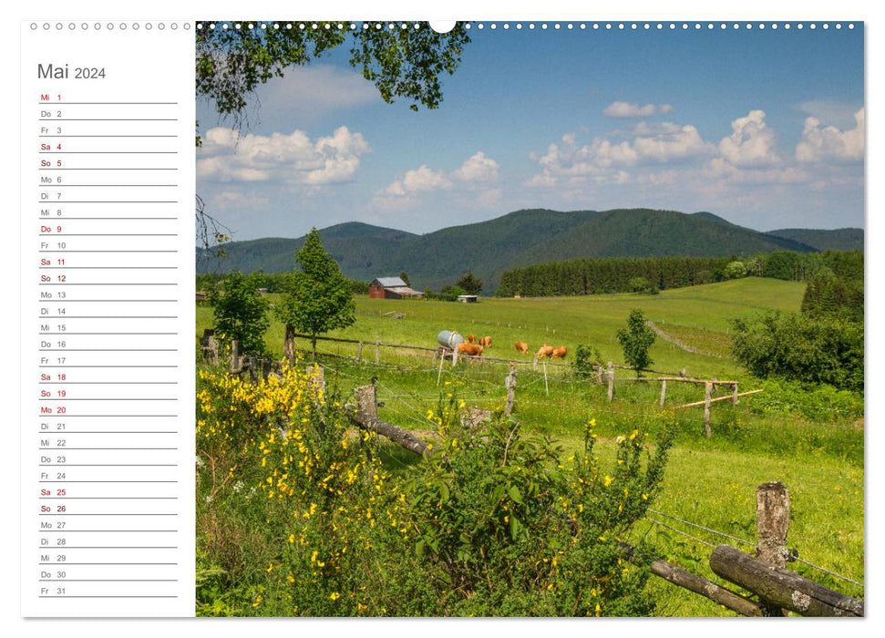 Sauerland - fascinatingly beautiful (CALVENDO Premium Wall Calendar 2024) 