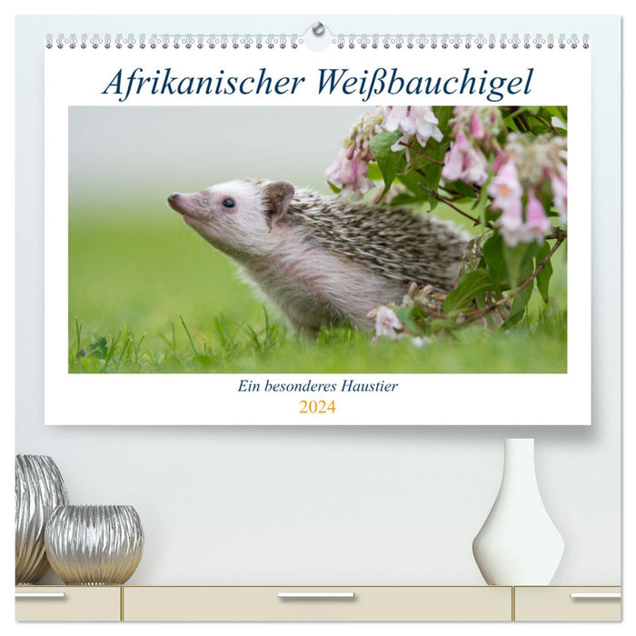 Afrikanische Weißbauchigel (CALVENDO Premium Wandkalender 2024)