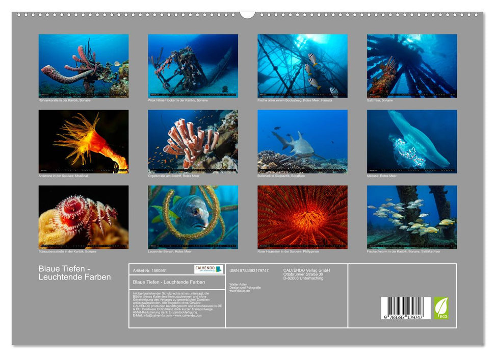 Blue Depths - Bright Colors (CALVENDO Premium Wall Calendar 2024) 
