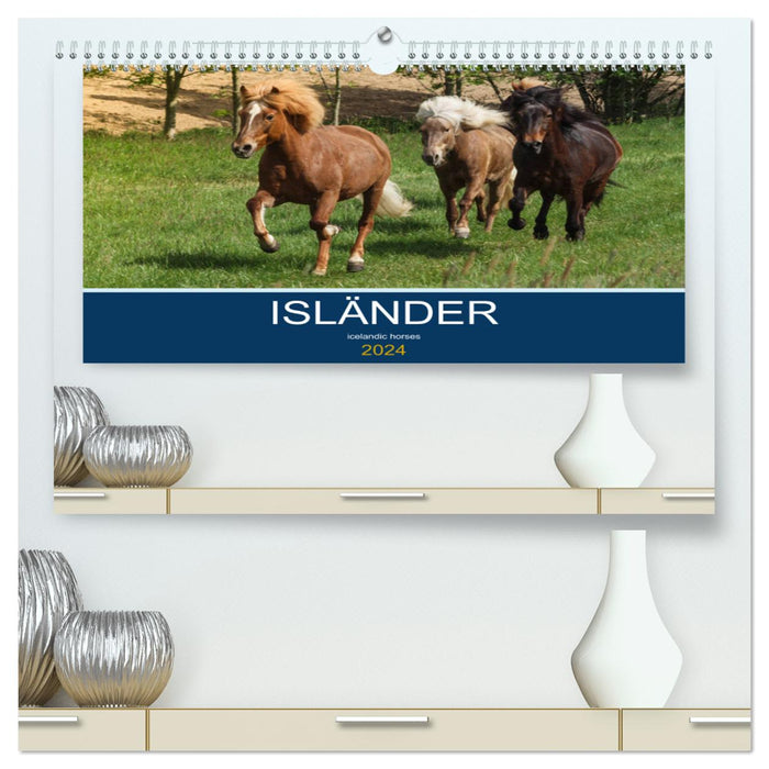 Isländer - icelandic horses (CALVENDO Premium Wandkalender 2024)