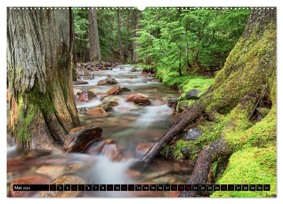 Forest Water (CALVENDO Premium Wall Calendar 2024) 