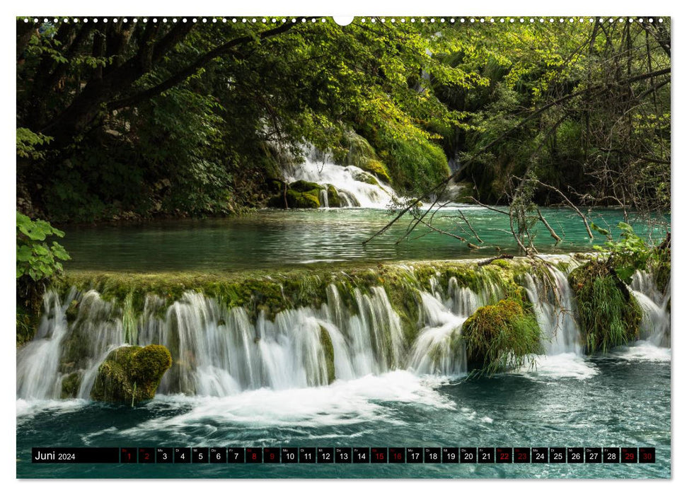 Forest Water (CALVENDO Premium Wall Calendar 2024) 