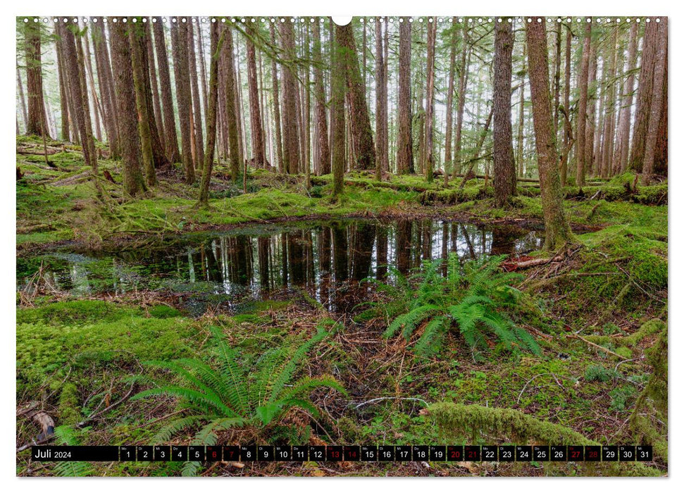 Forest Water (CALVENDO Premium Wall Calendar 2024) 