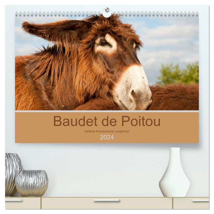 Baudet de Poitou - Seltene französische Langohren (CALVENDO Premium Wandkalender 2024)