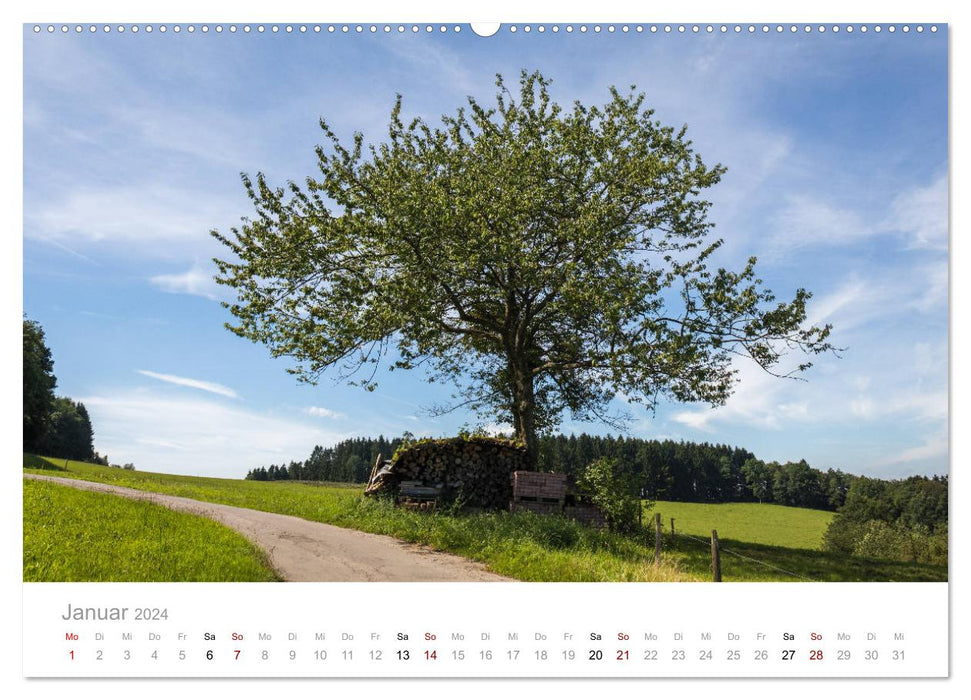 Wunderschöne Bäume im Sauerland (CALVENDO Premium Wandkalender 2024)