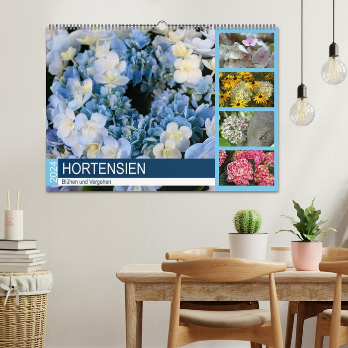 Les hortensias fleurissent et fanent (Calendrier mural CALVENDO 2024) 