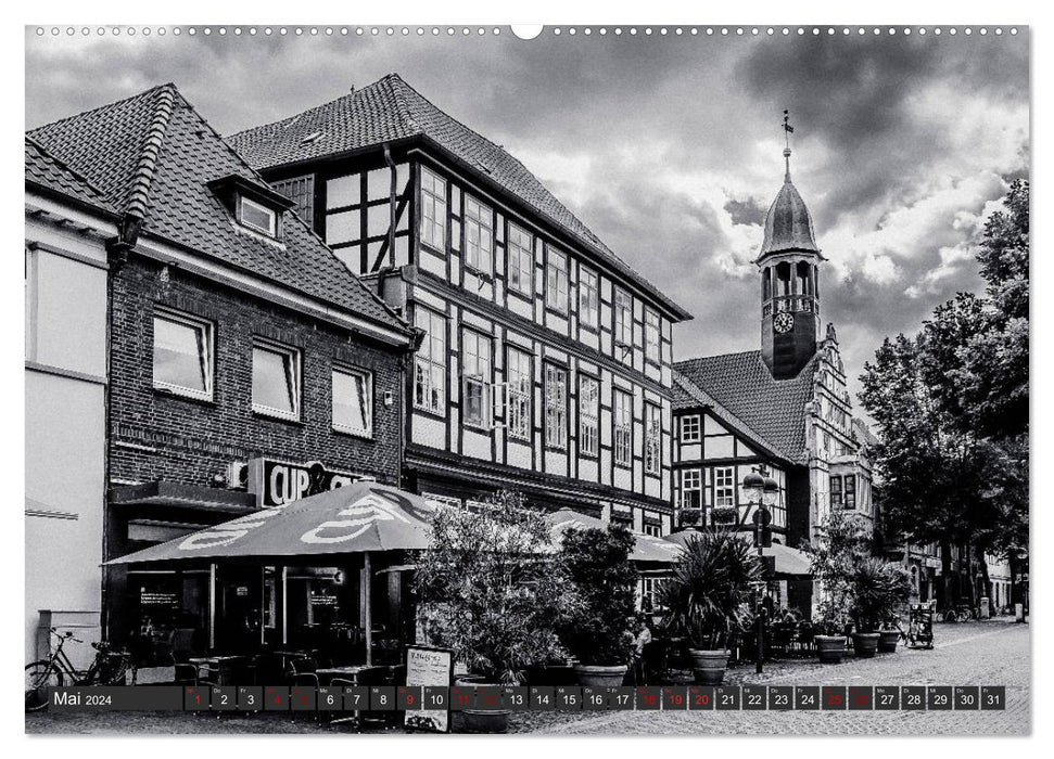 Une vue de Nienburg an der Weser (calendrier mural CALVENDO 2024) 