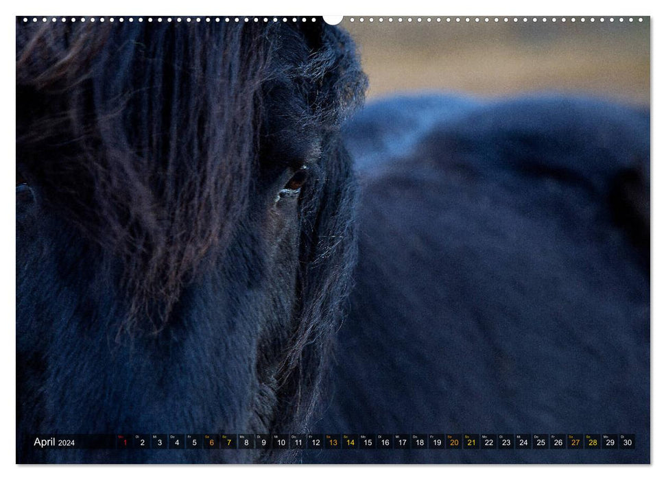 Isländische Schönheiten (CALVENDO Premium Wandkalender 2024)