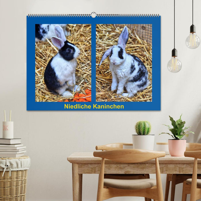 Lapins mignons (Calendrier mural CALVENDO 2024) 