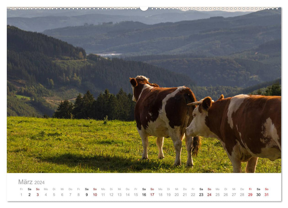 Beautiful Sauerland (CALVENDO Premium Wall Calendar 2024) 