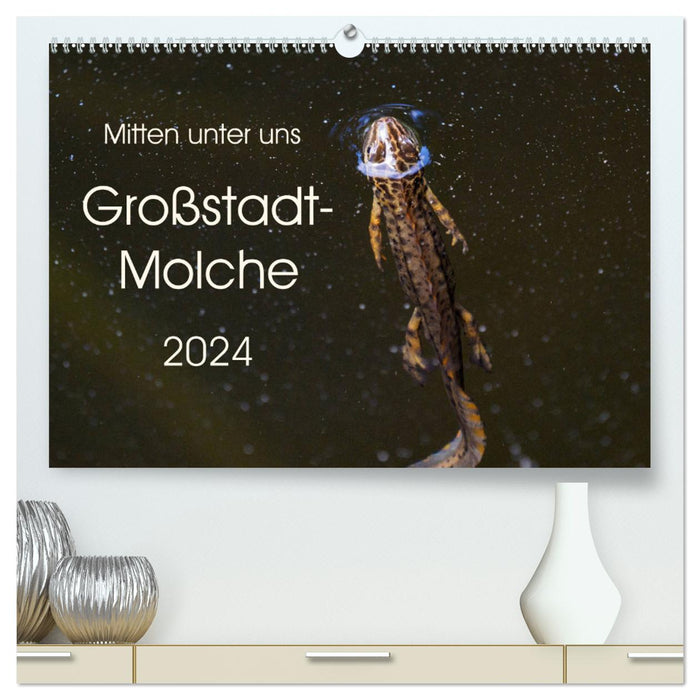 Mitten unter uns - Großstadt-Molche (CALVENDO Premium Wandkalender 2024)