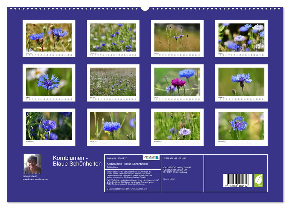 Cornflowers - Blue Beauties (CALVENDO Premium Wall Calendar 2024) 