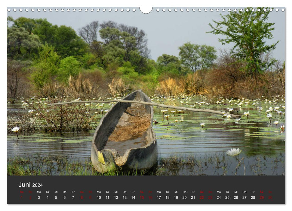 South Africa - Unique natural beauty (CALVENDO wall calendar 2024) 