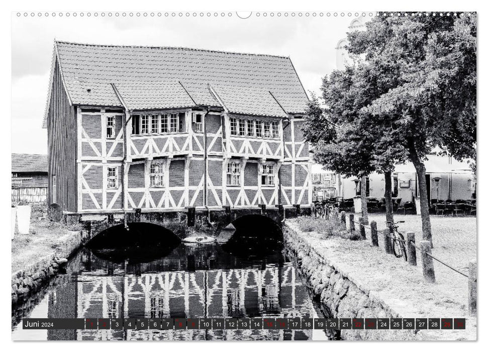 Un regard sur la ville hanséatique de Wismar (Calendrier mural CALVENDO Premium 2024) 