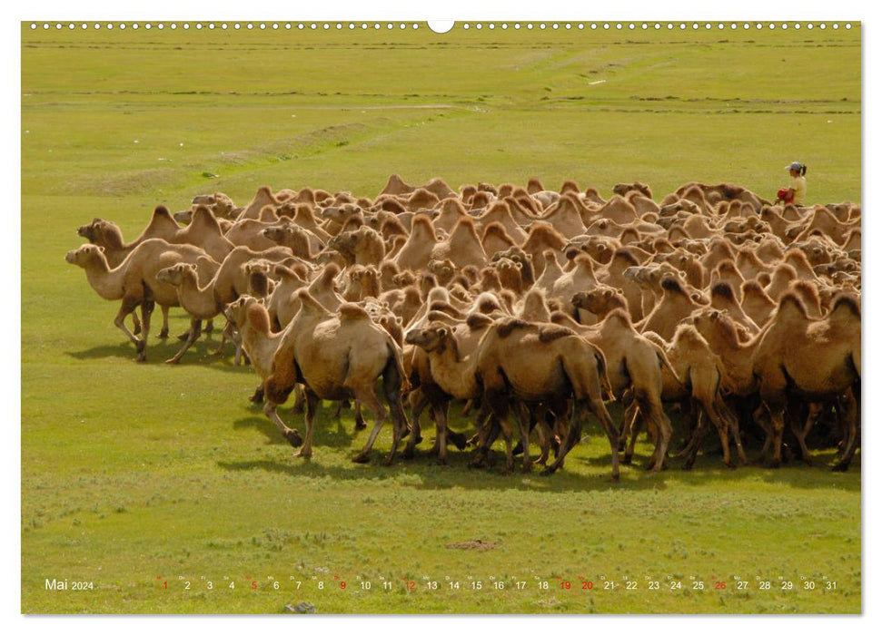 Zauberhafte Mongolei (CALVENDO Premium Wandkalender 2024)
