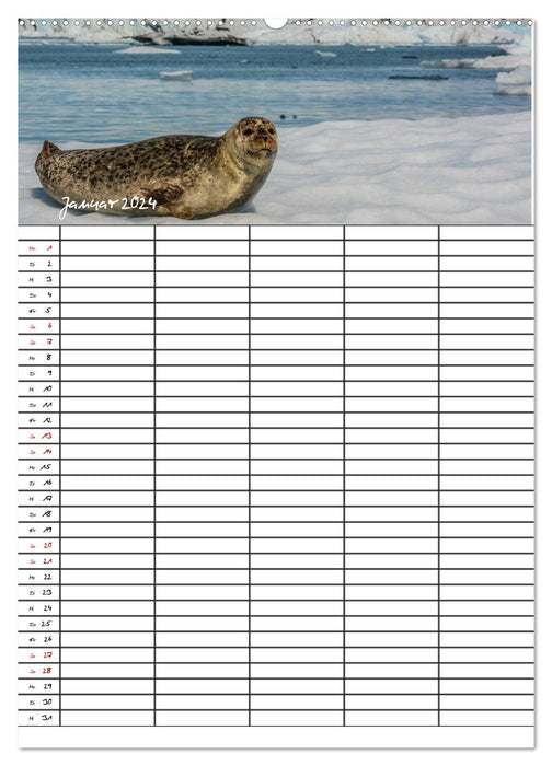 Longing Islande Planificateur familial 2024 (Calvendo Premium Calendrier mural 2024) 