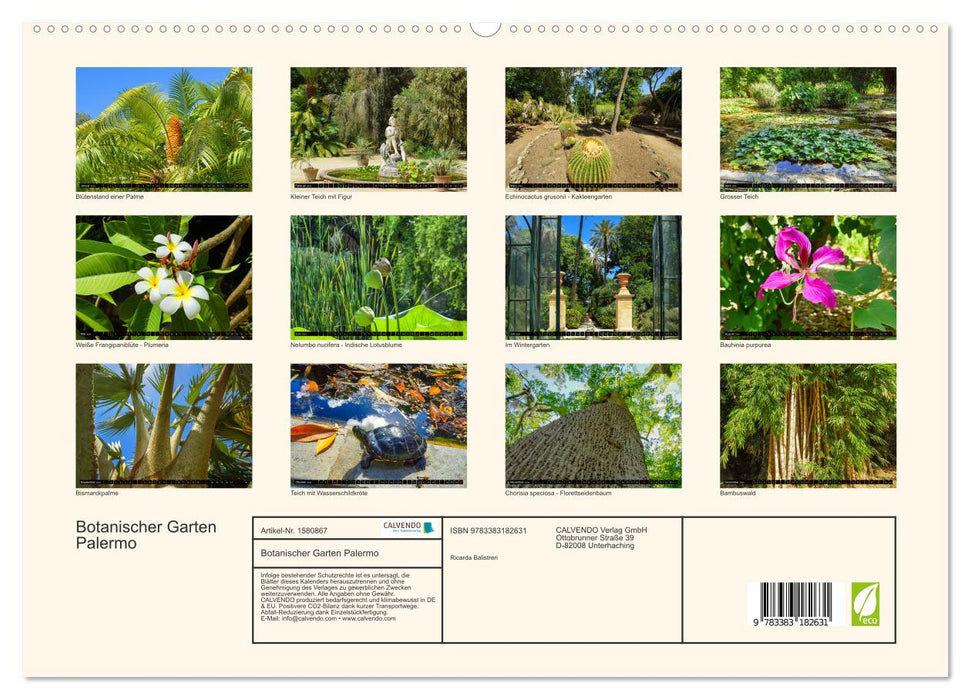 Jardin botanique de Palerme (Calvendo Premium Wall Calendar 2024) 