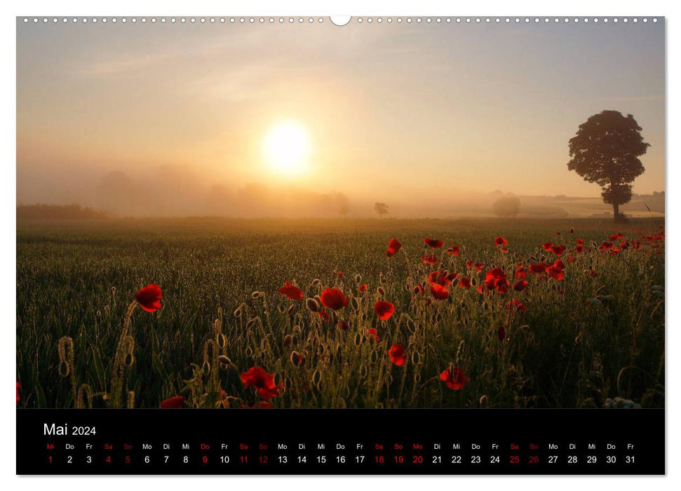 Enchanted North Hesse (CALVENDO wall calendar 2024) 