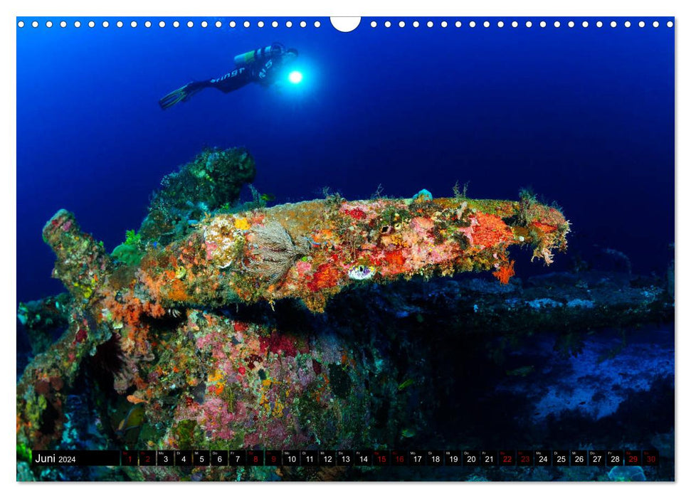 Raja Ampat - Fascinating underwater world (CALVENDO wall calendar 2024) 