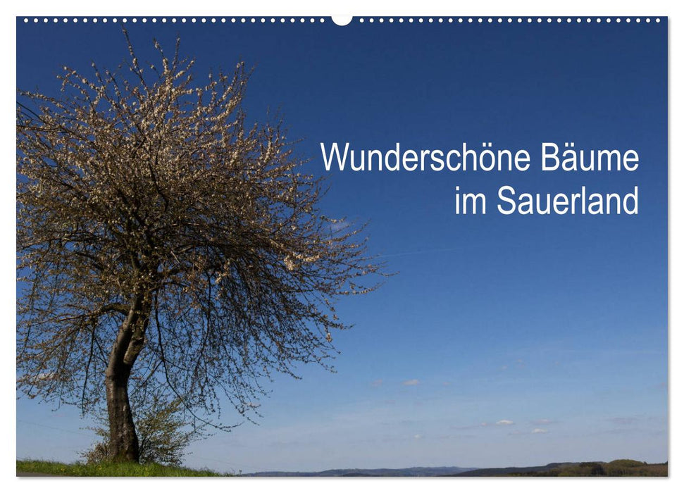 Beaux arbres dans le Sauerland (calendrier mural CALVENDO 2024) 