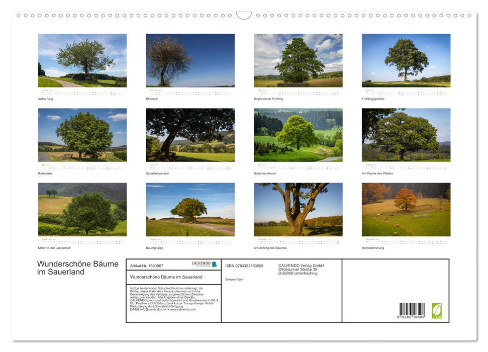 Beaux arbres dans le Sauerland (calendrier mural CALVENDO 2024) 