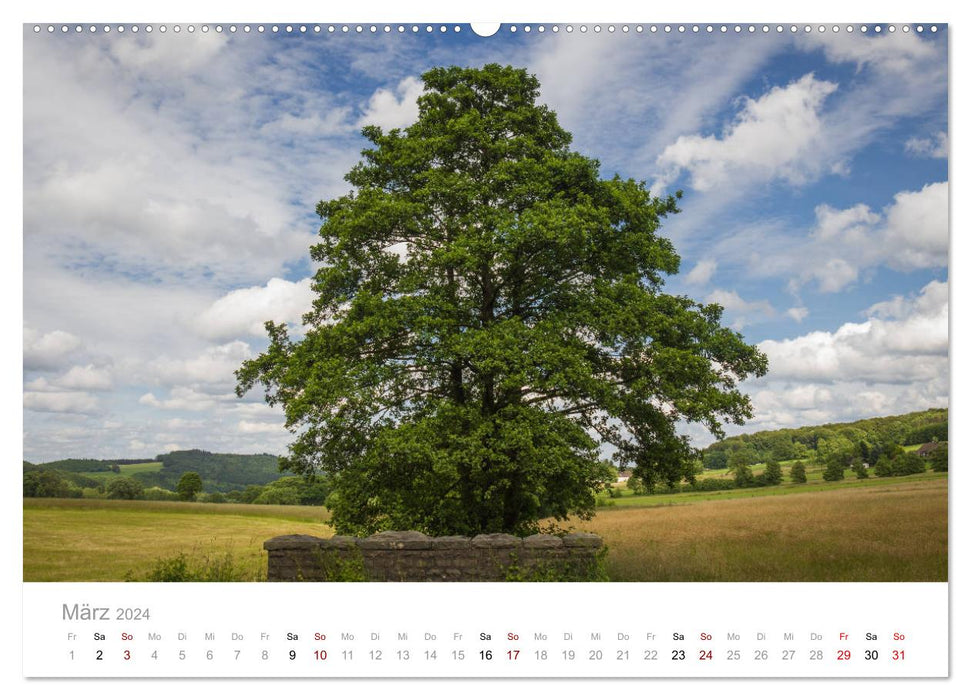Beautiful trees in the Sauerland (CALVENDO wall calendar 2024) 
