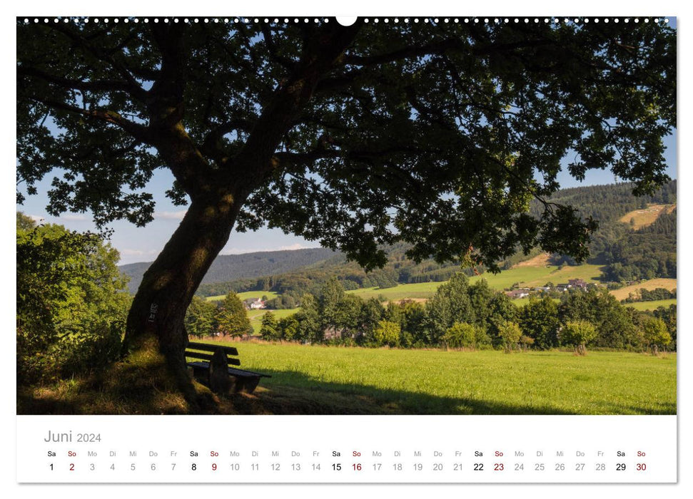 Wunderschöne Bäume im Sauerland (CALVENDO Wandkalender 2024)