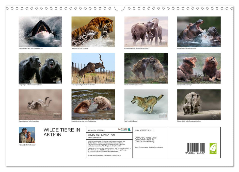 WILD ANIMALS IN ACTION (CALVENDO wall calendar 2024) 