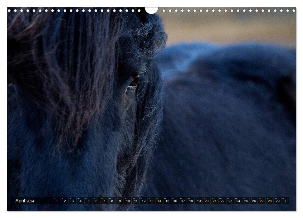 Isländische Schönheiten (CALVENDO Wandkalender 2024)