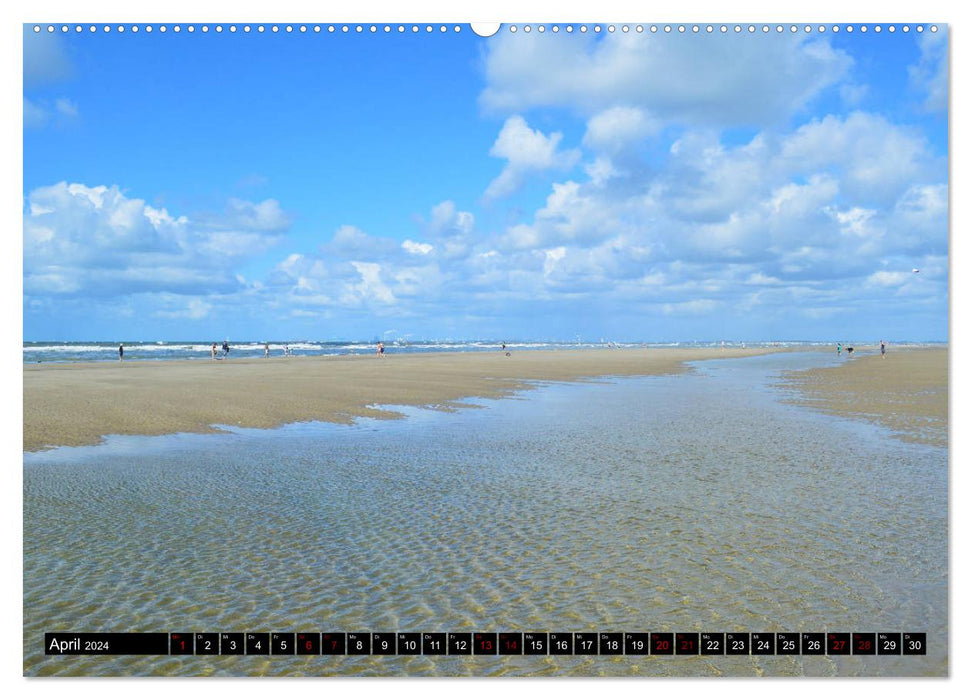 Le long de la côte de la mer du Nord (Calendrier mural CALVENDO Premium 2024) 