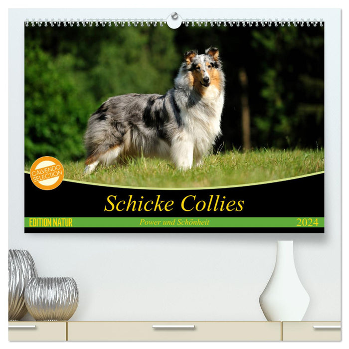 Schicke Collies (CALVENDO Premium Wandkalender 2024)