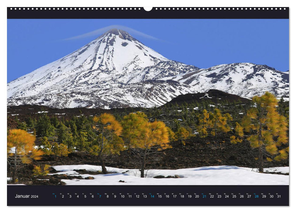 wild Tenerife (CALVENDO Premium Wall Calendar 2024) 