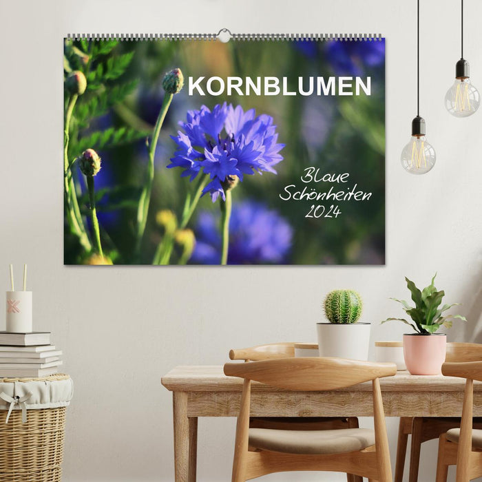Kornblumen - Blaue Schönheiten (CALVENDO Wandkalender 2024)