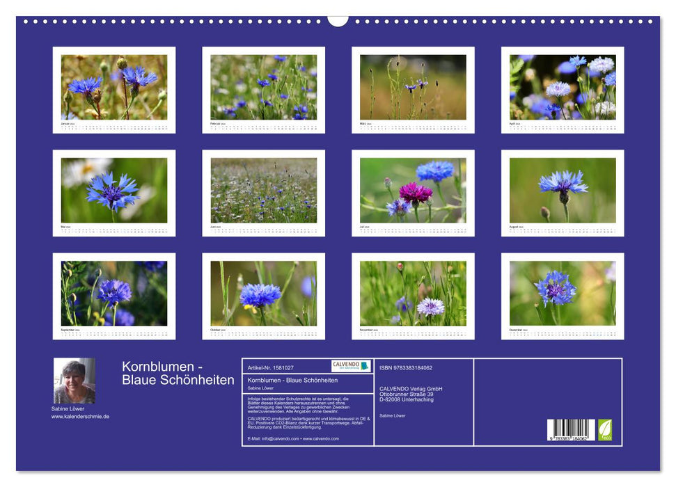 Bleuets – Beautés bleues (Calendrier mural CALVENDO 2024) 