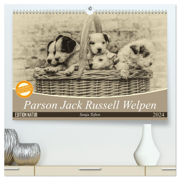 Parson Jack Russel Welpen (CALVENDO Premium Wandkalender 2024)