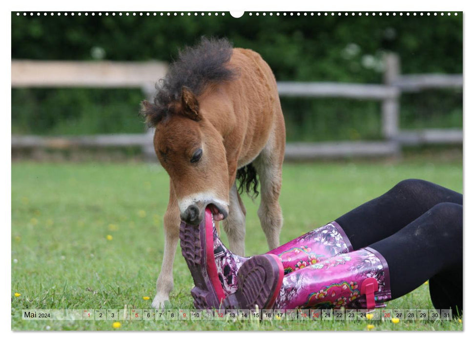 Enfants chevaux - les poulains ont leur propre charme (Calendrier mural CALVENDO Premium 2024) 