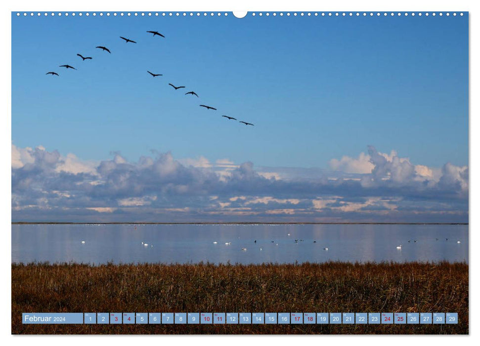 Stralsund and the lagoon landscape (CALVENDO Premium Wall Calendar 2024) 