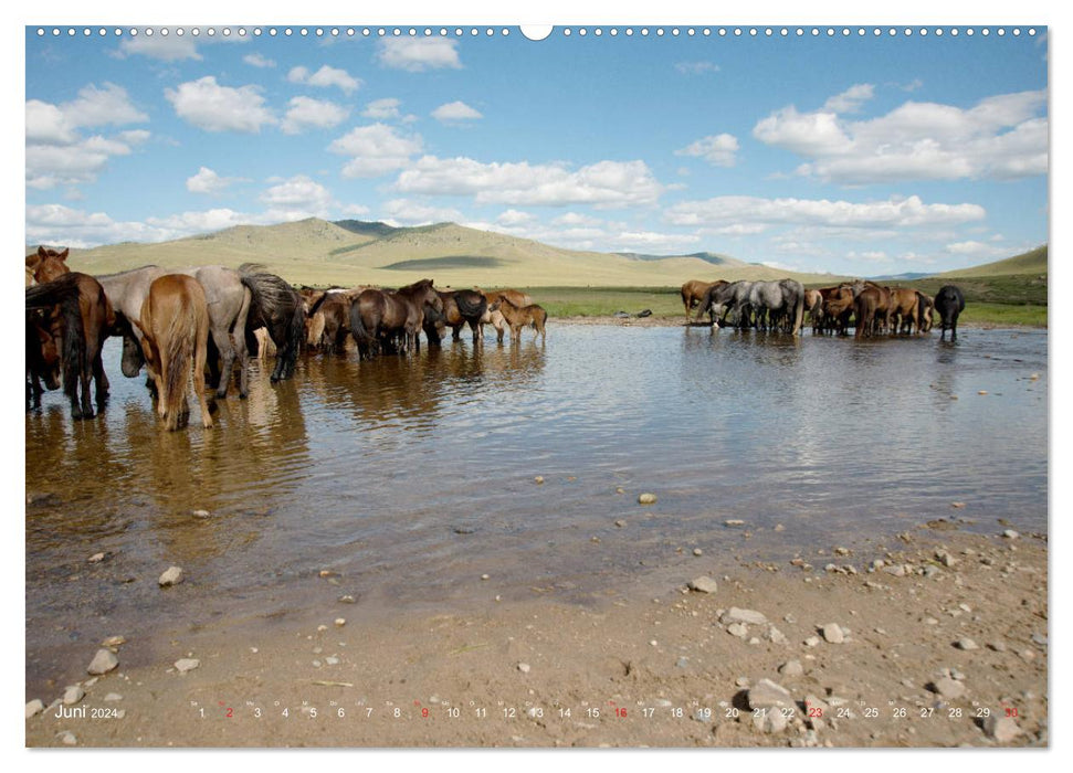 Zauberhafte Mongolei (CALVENDO Wandkalender 2024)