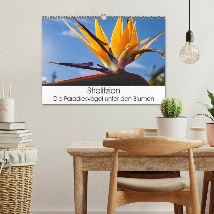 Strelitzien - die Paradiesvögel unter den Blumen (CALVENDO Wandkalender 2024)