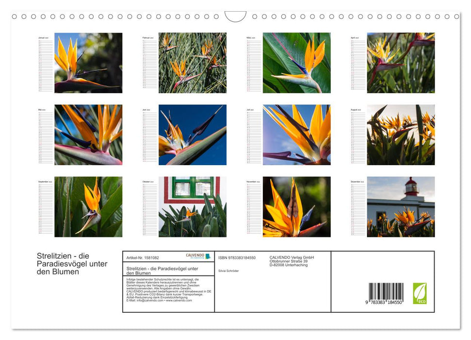 Strelitzias - les oiseaux de paradis parmi les fleurs (calendrier mural CALVENDO 2024) 