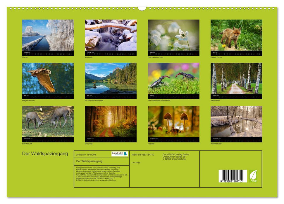 Der Waldspaziergang (CALVENDO Premium Wandkalender 2024)