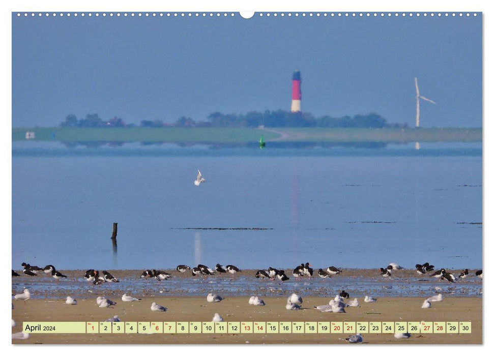 Sonne, Sand und Meer. Farben der Küste (CALVENDO Premium Wandkalender 2024)