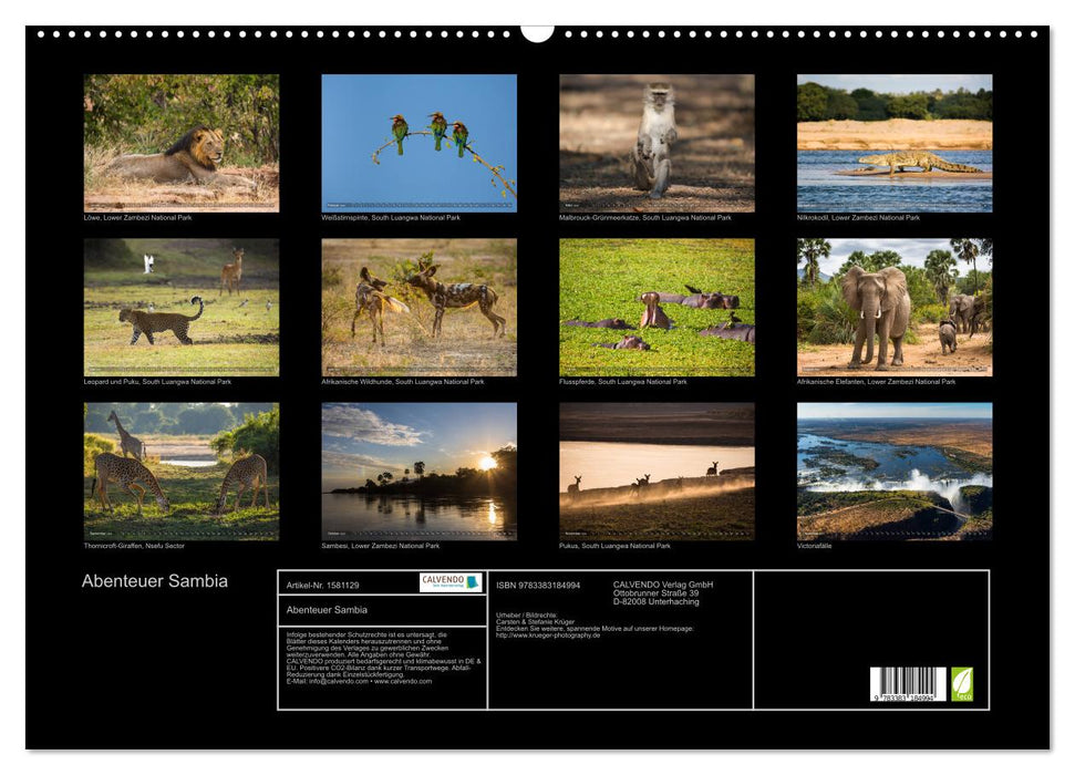 Adventure Zambia (CALVENDO wall calendar 2024) 