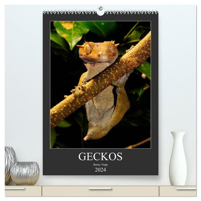 GECKOS (CALVENDO Premium Wall Calendar 2024) 