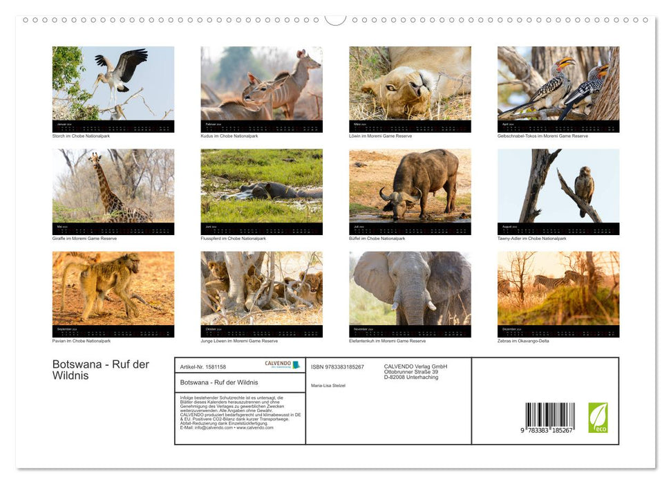 Botswana - Ruf der Wildnis (CALVENDO Premium Wandkalender 2024)